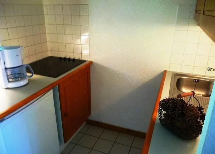 Skis Aux Pieds, 4 Couchages, Balcon, Wifi Inclus - Fr-1-513-66